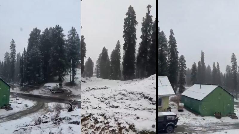 First snowfall of the season in Gulmarg Kashmir News In Hindi