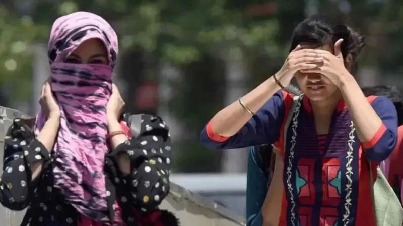 Punjab Weather Update Heat wave alert in 16 districts News In Hindi