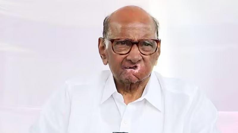 Sharad Pawar indicated to retire from politics latest news in Hindi