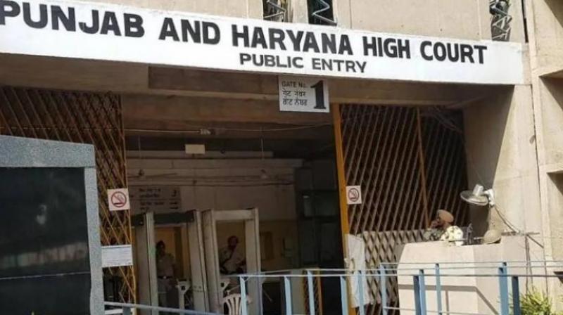 Punjab and Haryana High Court 73% vacancies haryana fsl News In Hindi