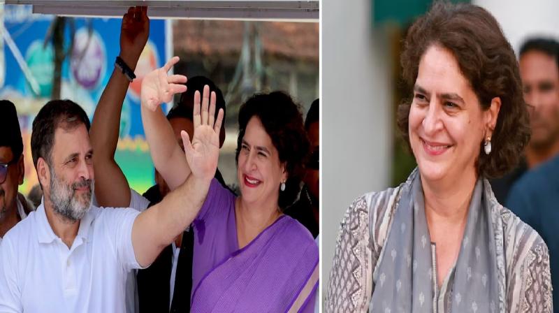 Kerala Wayanad, Congress leader Priyanka Gandhi news in hindi