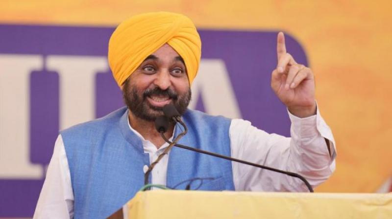 CM Bhagwant Singh Mann congratulated for victory in by-elections news in hindi