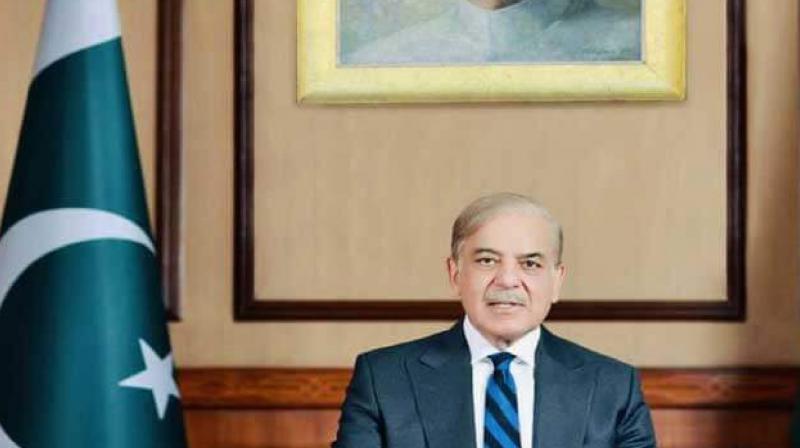 Pakistan wants to resolve Kashmir issue through dialogue, PM Shahbaz Sharif news in hindi