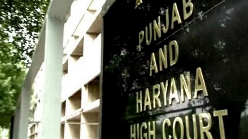 Punjab-Haryana High Court crpf security for Judges News In Hindi