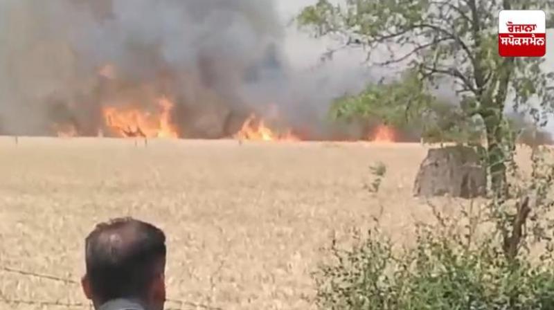 Wheat crop caught fire in Khadunj village of Jalalabad News In hindi
