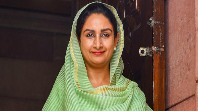 Bathinda Punjab Lok Sabha Election Results 2024 Harsimrat Kaur Badal 