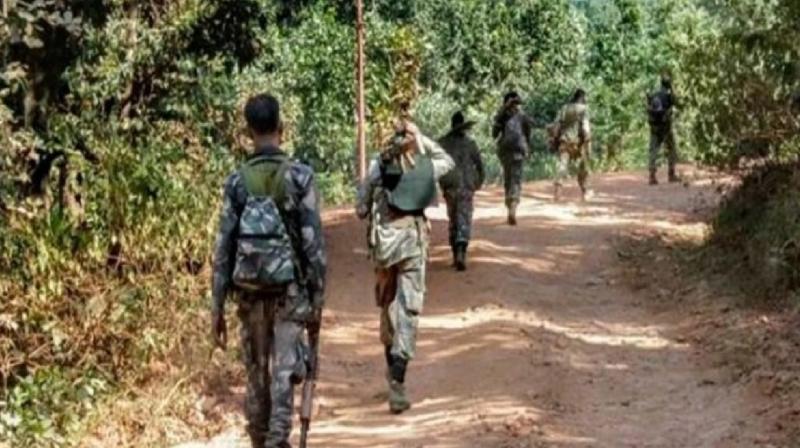 Encounter in Kanha National Park, one Naxalite killed news in hindi