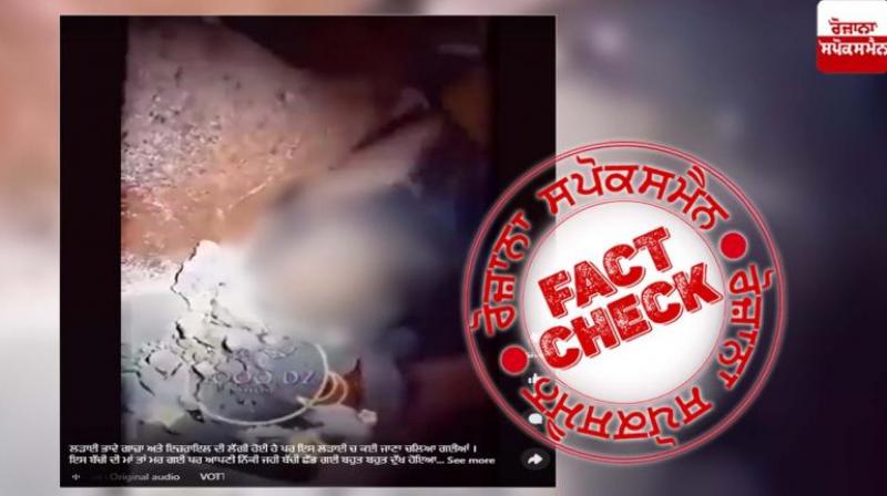  Fact Check Image from Syria Earthquake viral in the name of Israel-Palestine Conflict