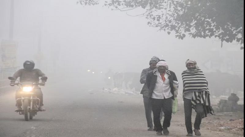 Punjab Weather Update 29 November fog alert News In Hindi