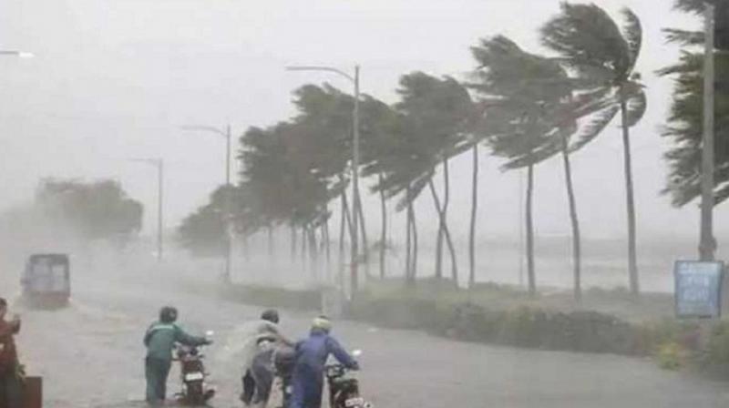 Punjab Weather Update(सांकेतिक फोटो)