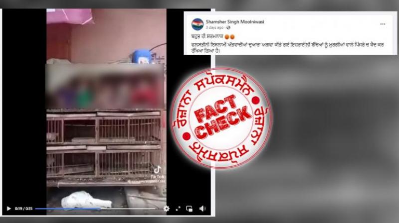 Fact Check Video of Chidren in Chicken cage has no link with recent Israel Palestine war