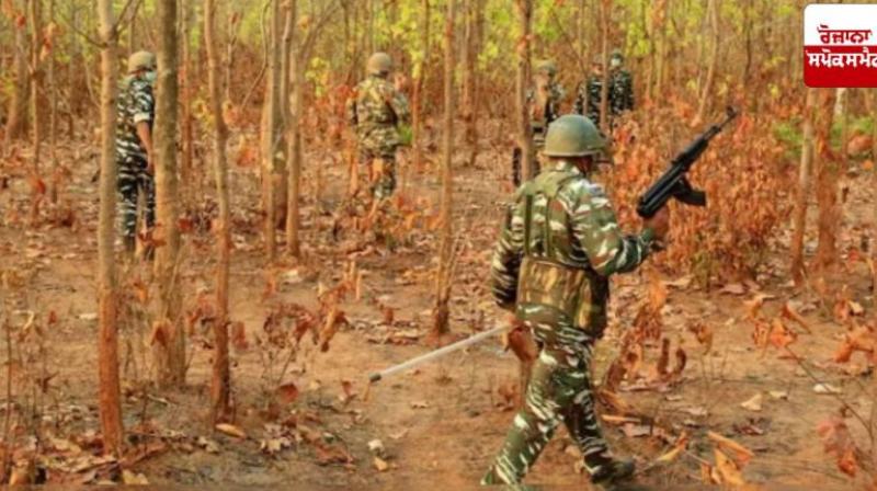 Chhattisgarh Gariaband Encounter Update 27 Naxalite killed News In Hindi