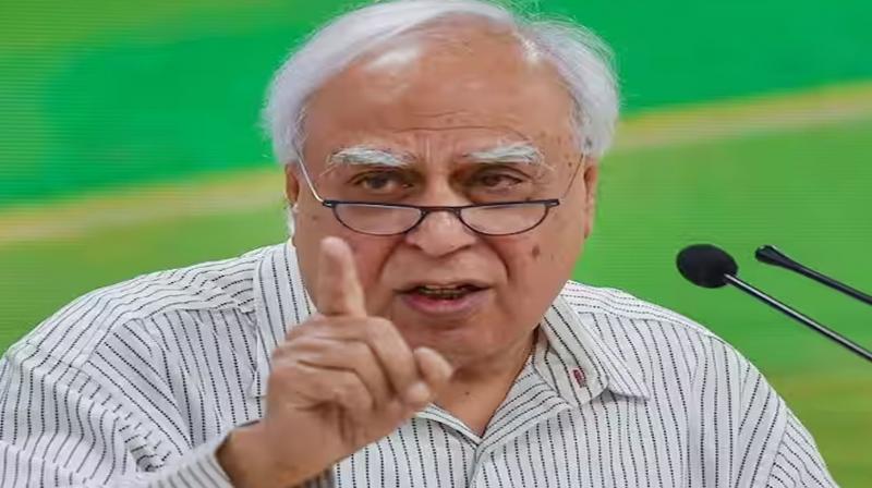 BJP insulting our understanding by leveling 'absurd allegations' on Rahul: Sibal