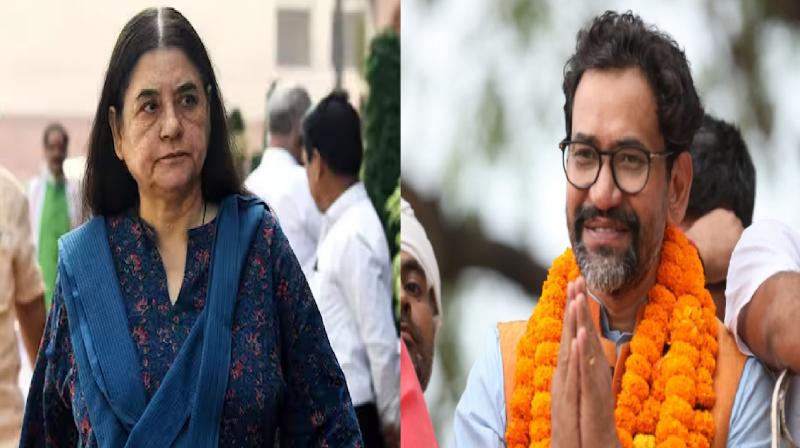 Lok Sabha Election 2024 Maneka Gandhi, Bhojpuri star Nirahua are in the fray in the sixth phase in UP