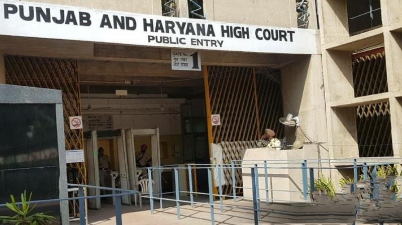 Punjab-Haryana High Court High Court Bar Association illegal recovery News in Hindi