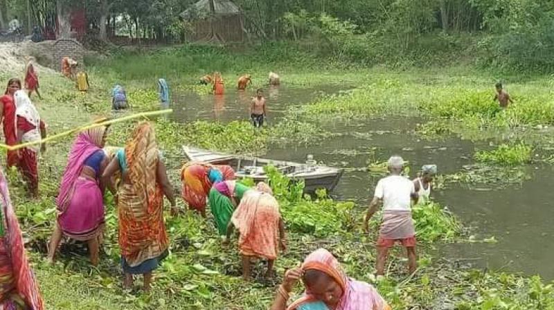 महोत्सव बागवानी क्षेत्र में ज्ञान, नवाचार और अवसरों को सुदृढ़ करने का है प्रभावी मंच