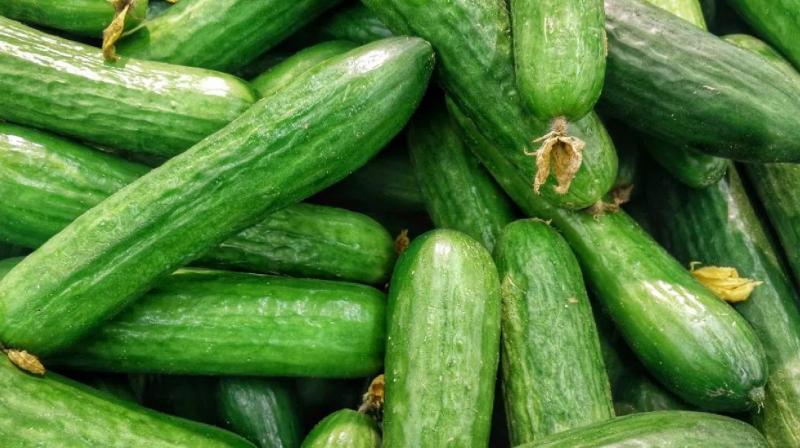 Is bitter cucumber good for diabetics? Know here news In Hindi