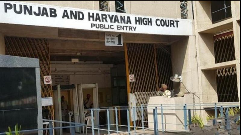 High Court rejects all petitions against Panchayat elections News In Hindi