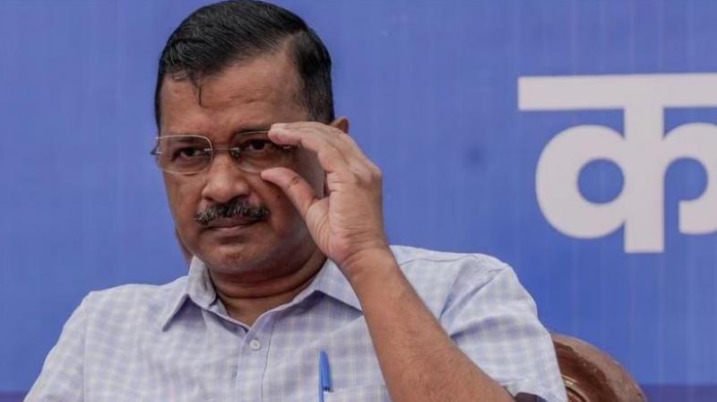 Delhi Excise Policy Case ED opposes Arvind Kejriwal interim bail plea News in Hindi