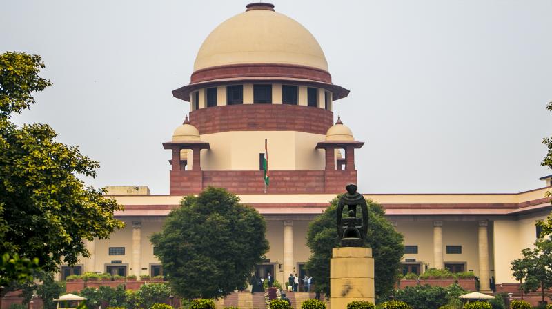 'Put ban on bail only in rare and extraordinary cases', Supreme Court's big comment