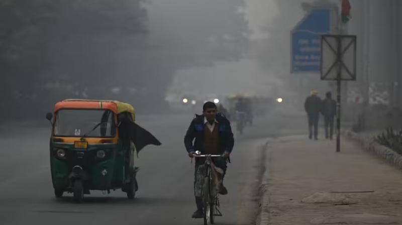 Punjab Chandigarh weather update cold wave orange alert News in Hindi 