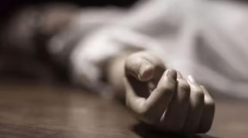 Andhra Pradesh Couple suicide after son insists marrying transgender