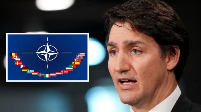 Canada has become the least contributing country among NATO members, report