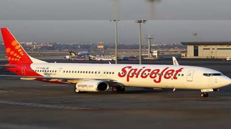 SpiceJet to operate its second flight to Tel Aviv under 'Operation Ajay'