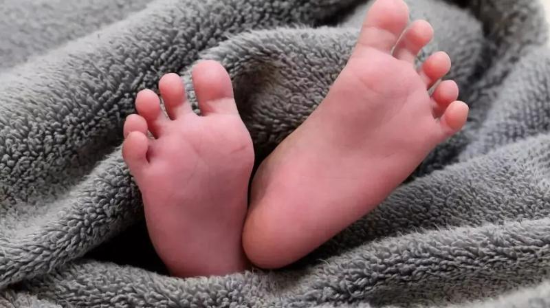 UP: Newborn girl found abandoned on the road in the bitter cold