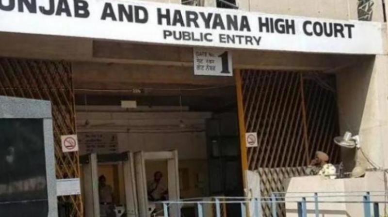 Punjab and Haryana High Court farmers protest News In Hindi