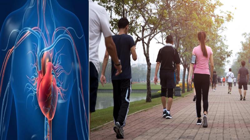 How good is exercise and walking for the heart? News in hindi