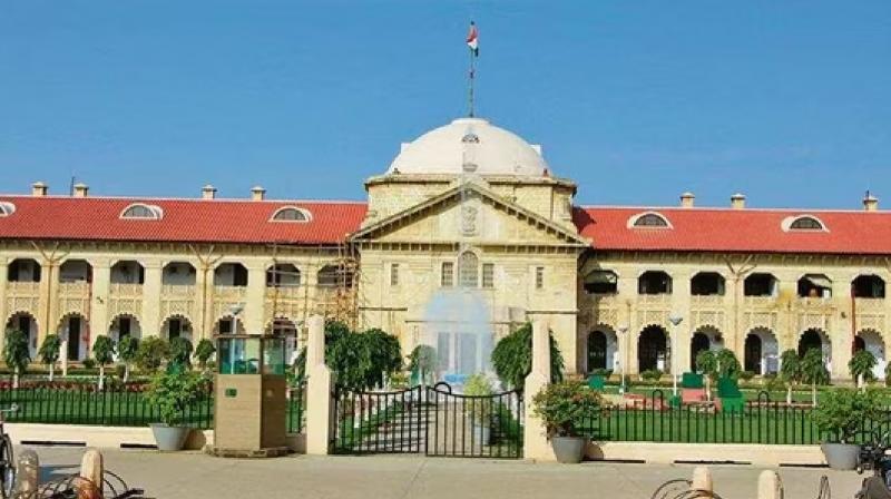 Allahabad HC Live-in is not socially approved yet youth are attracted towards it