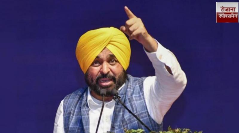 CM Bhagwant Mann strongly condemned the decision of the Senate of Panjab University news in hindi