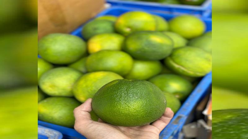 Sweet lime to protect from seasonal diseases, know its health benefits news in hindi