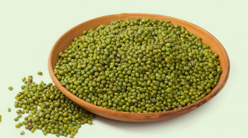 Know why green moong dal is essential for your diet? News in hindi