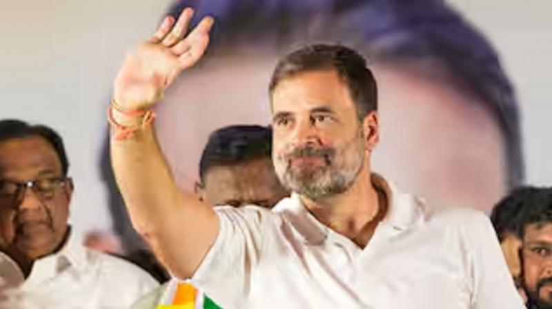 Rahul Gandhi will address election rallies in Haryana on May 22 news in hindi