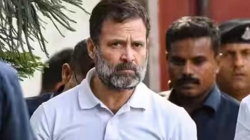 Decision on petition seeking stay on Rahul's sentence may be taken on Thursday