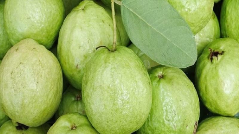 Eat this green fruit during constipation news in hindi