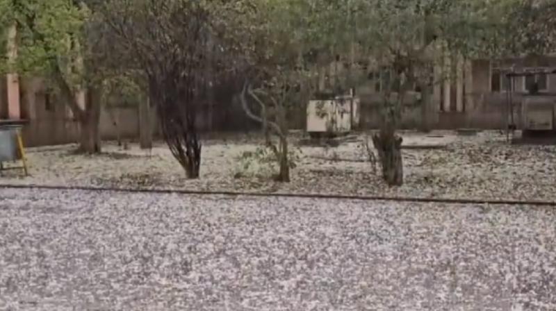 Heavy hailstorm in Uttar Pradesh, heavy rain in many districts