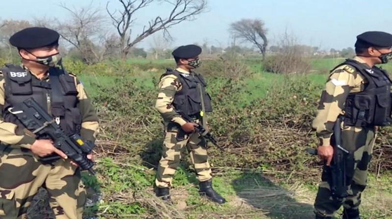 Pakistani was trying to enter India through Gujarat, BSF caught