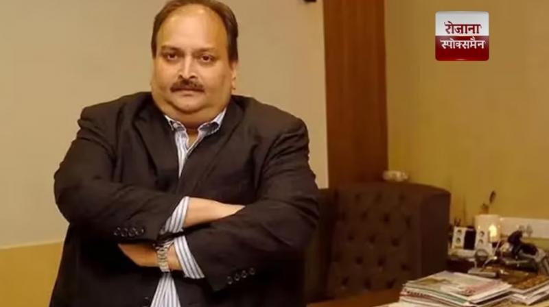  Mehul Choksi will be brought to India news in hindi 