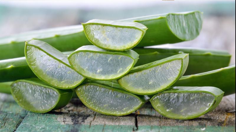  Aloevera Benefits