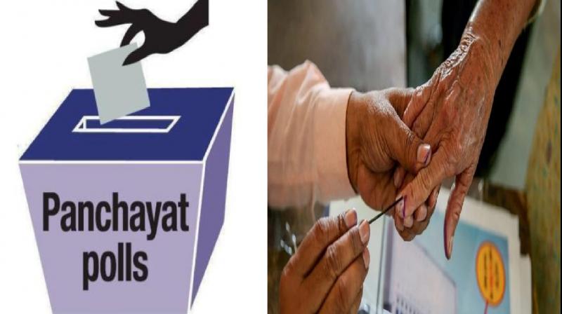  Punjab Panchayat Elections 2024 petitions filed Latest news in hindi