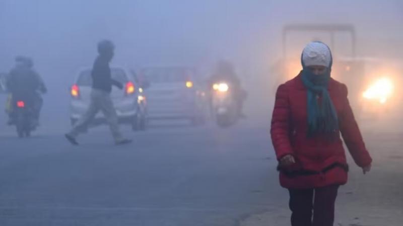 Punjab Weather Update Chandigarh weather fog rain and cold wave alert in hindi