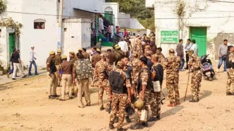 Sambhal Shahi Jama Masjid Survey Stone Pelting on Police News In Hindi