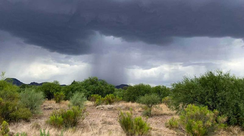 Cloudy showers in Gujarat, entry of monsoon news in hindi