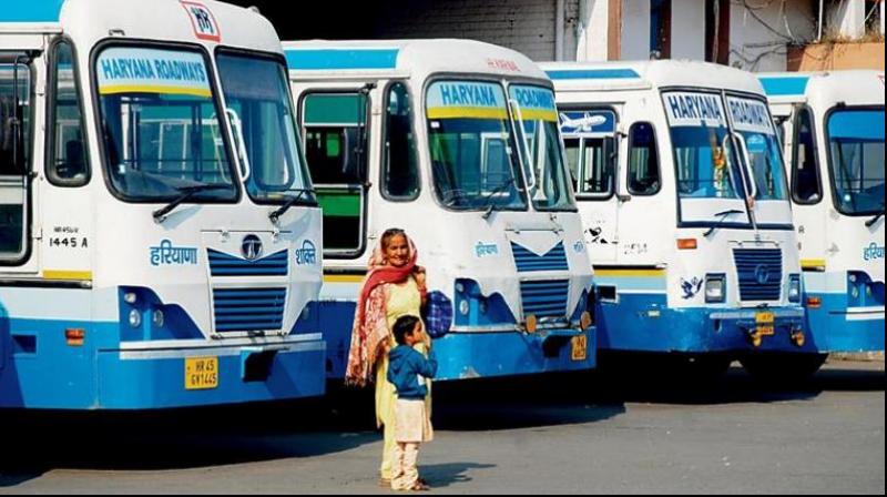  water Provision for Haryana passengers in roadways buses 