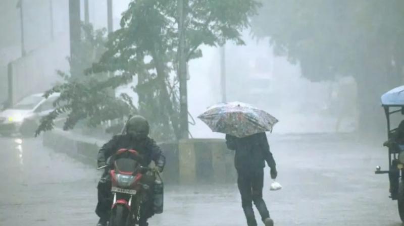 Punjab Weather Update Rain alert in 8 districts News in Hindi