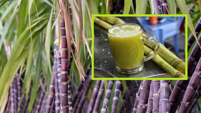 Sugarcane juice is very beneficial for people of all ages news in hindi