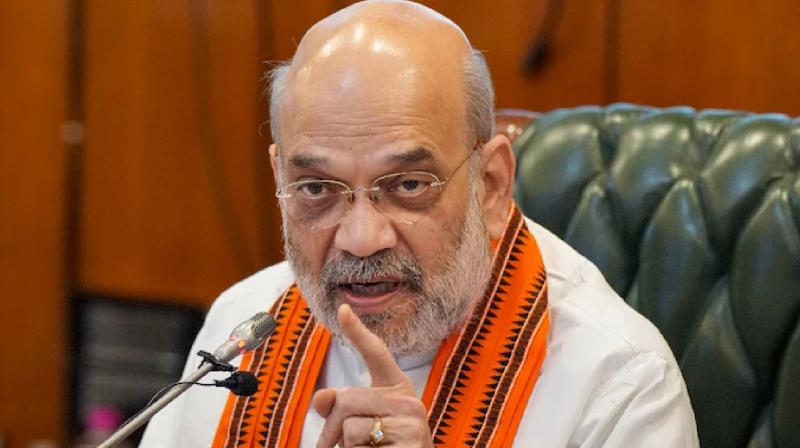 Country progress impossible without cyber security, Home Minister Amit Shah news in hindi